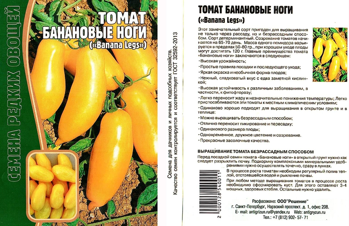 Лук банановый описание сорта. Лук банановый описание сорта