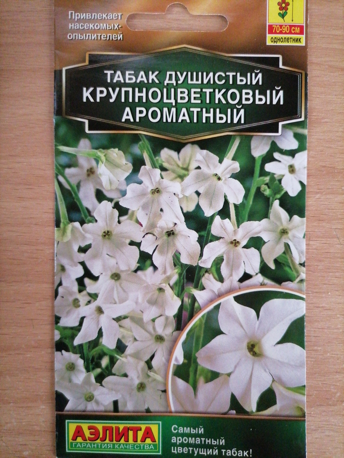 Душистый Табак Вечерний Звон