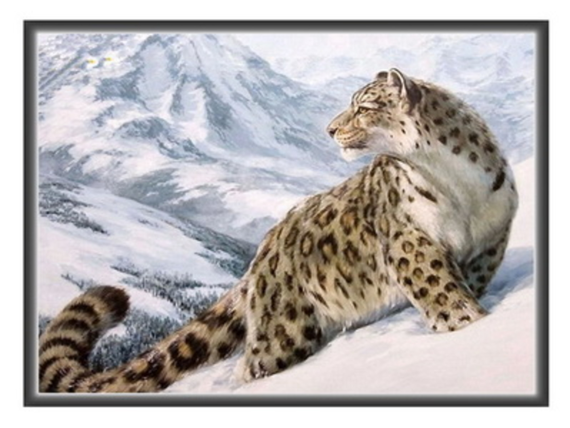 Леопард в снега