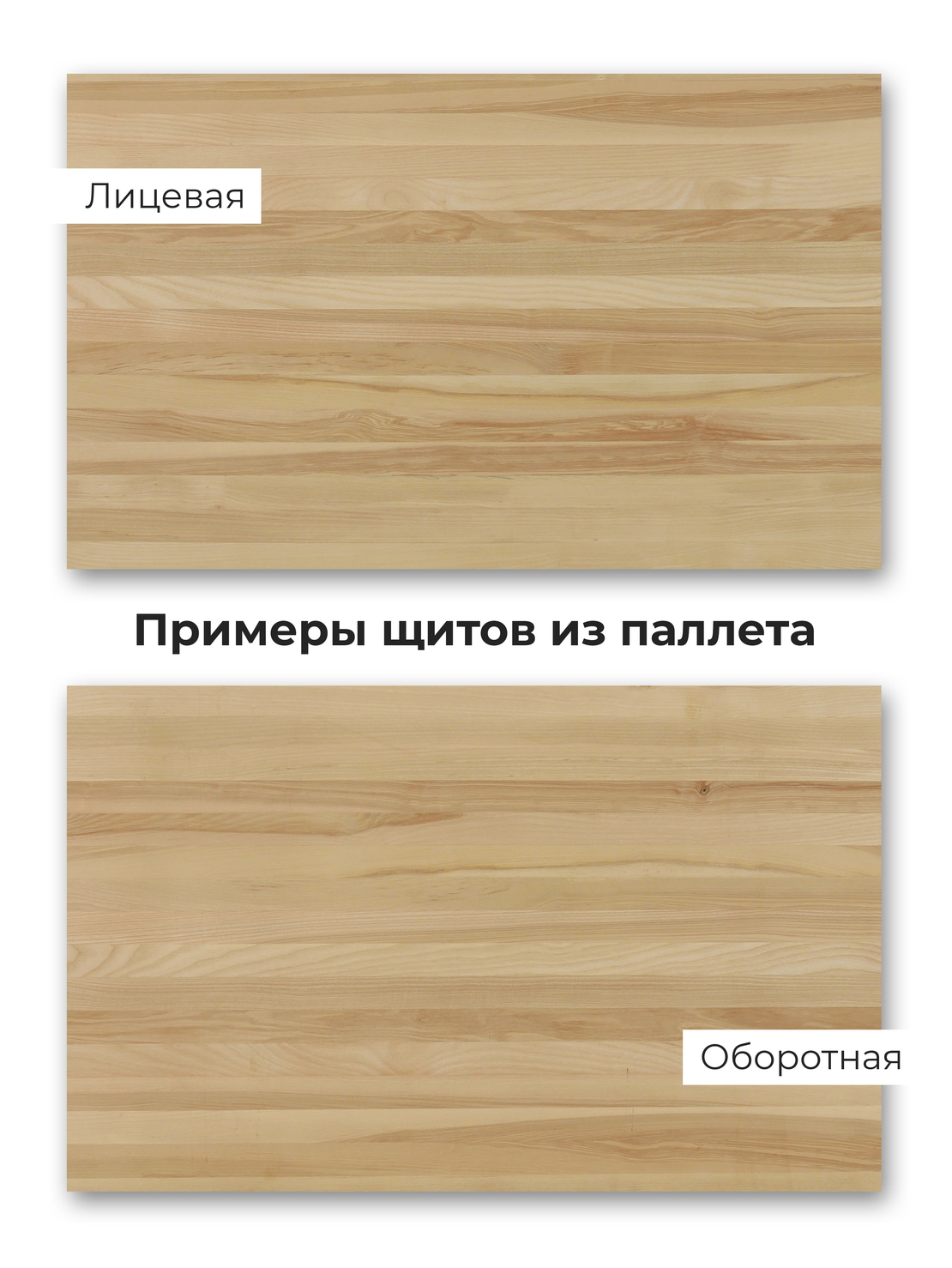 Щит из ясеня цельноламельный.