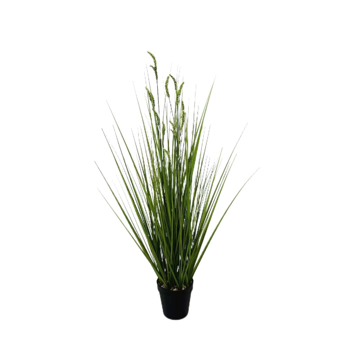 GRASS 6 ARTIFICIAL PLANT GREEN H81cm PRC