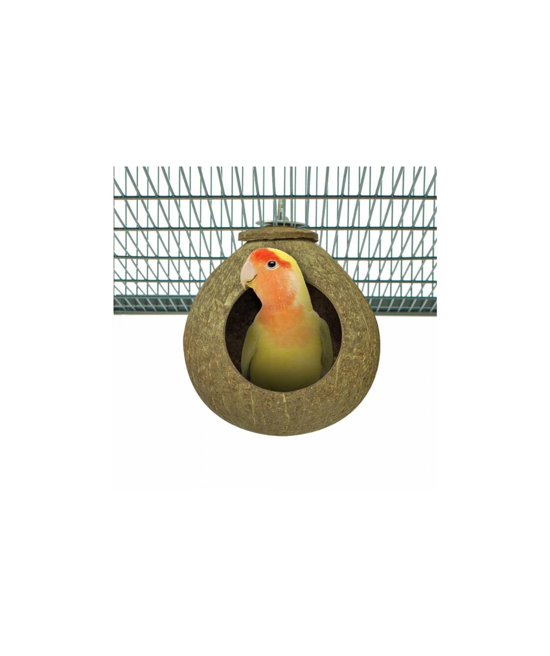 Играчка за Папагали Back Zoo Nature – Кокосова Къща