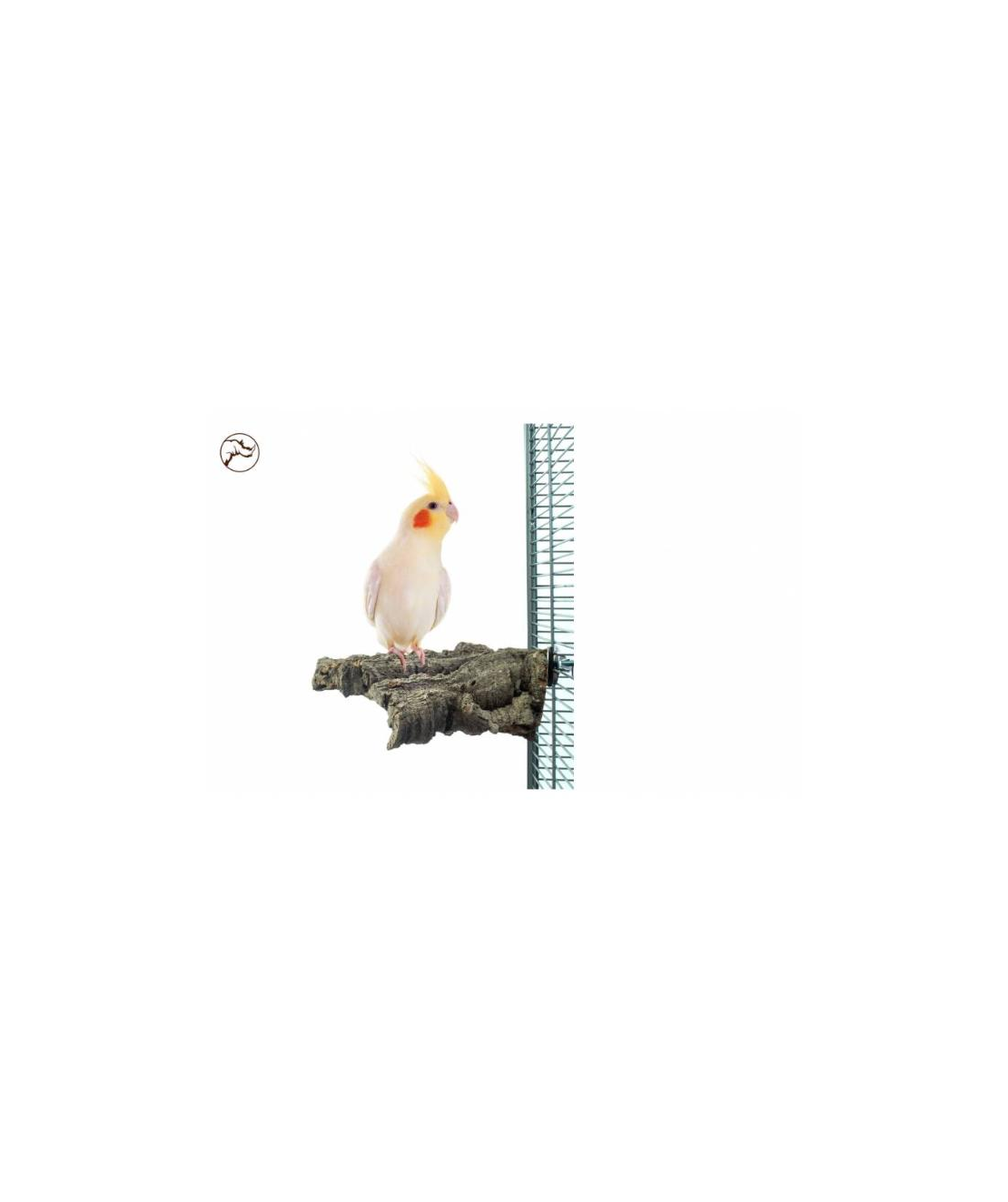 Дъвчаща Коркова Кацалка Back Zoo Nature – Средна