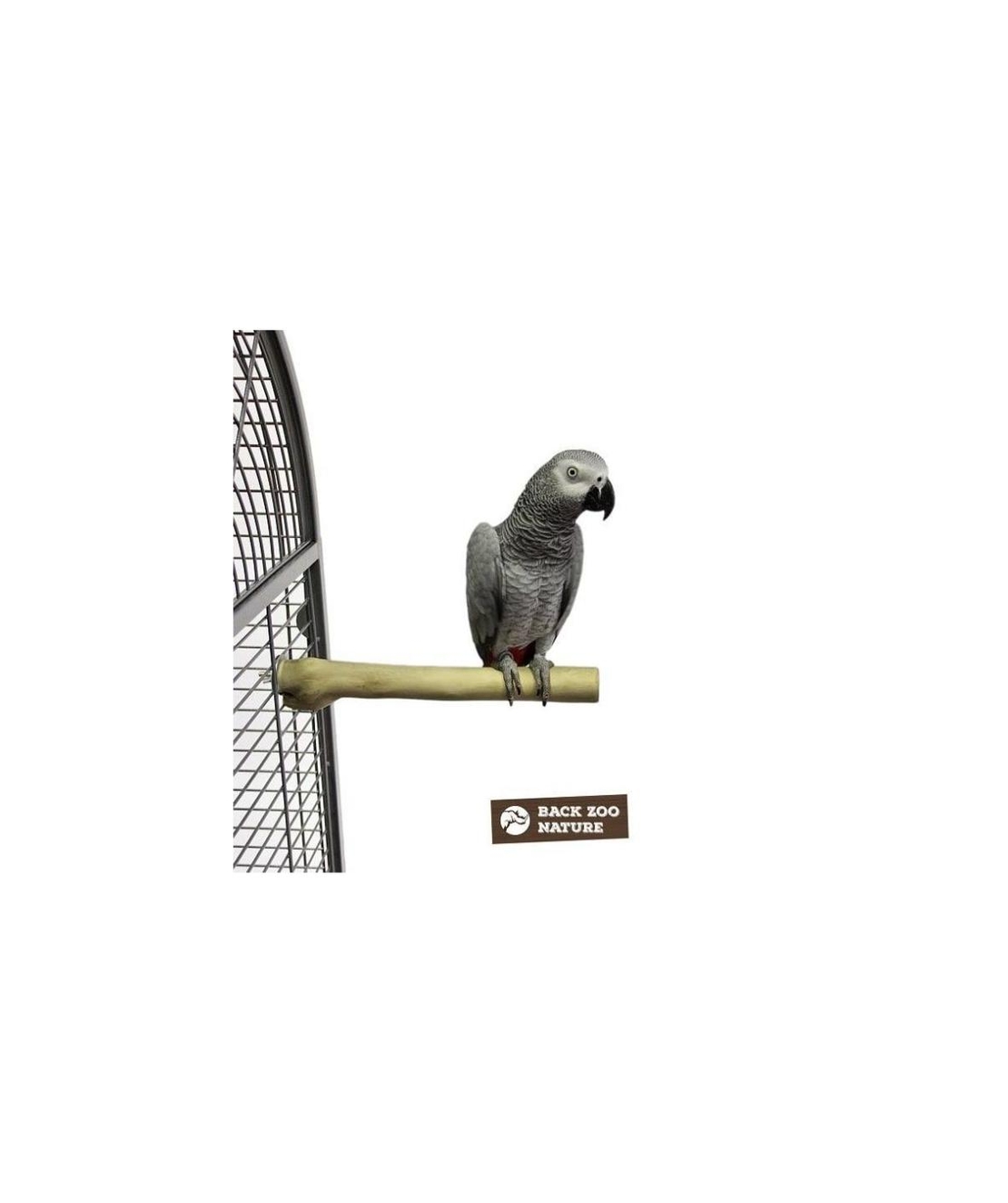 Кацалка Java Back Zoo Nature – Java Дърво – Супер Твърда – Индонезия