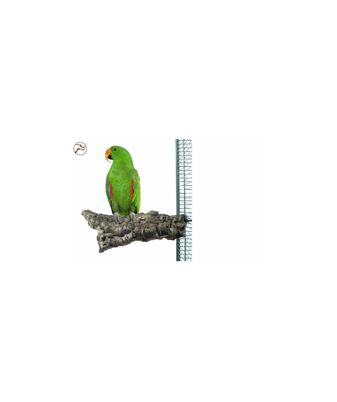 Голяма Дъвчаща Коркова Кацалка Back Zoo Nature