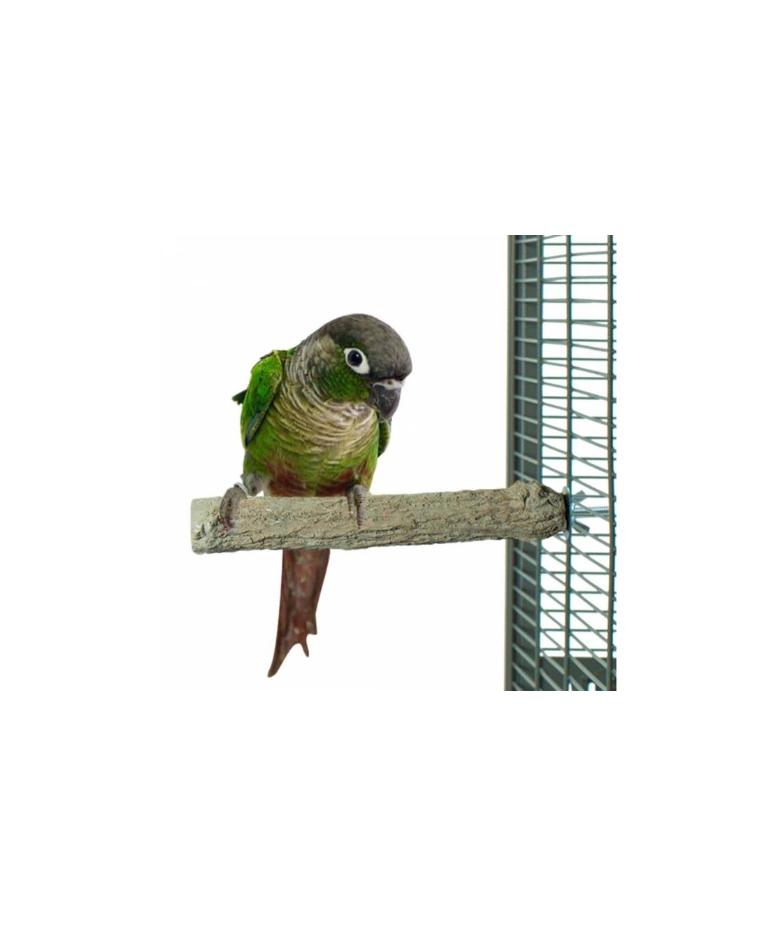 Каменна Кацалка Back Zoo Nature S/M – 18 см x 25 мм
