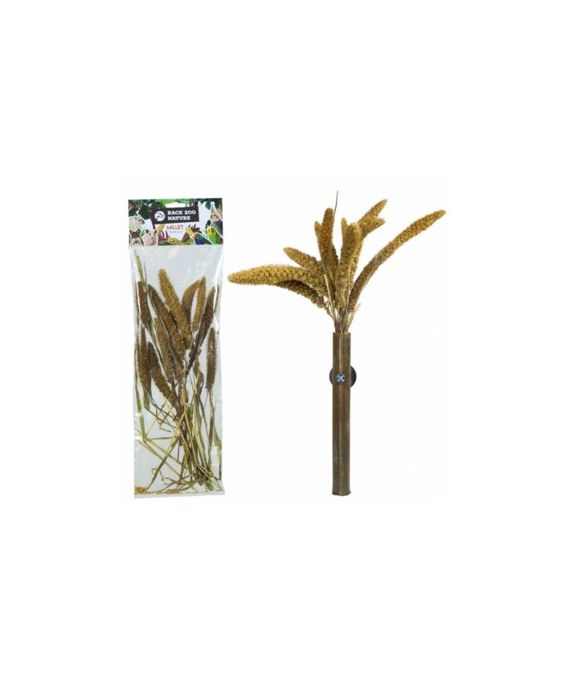 Италийска сетария (Setaria italica) за папагали Back Zoo Nature