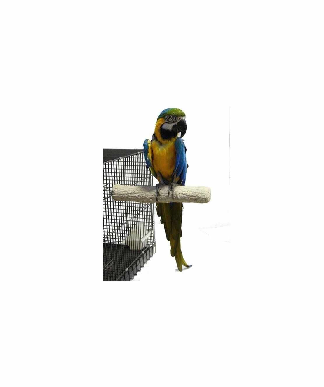 Абразивна Кацалка Back Zoo Nature за Нокти и Клюн – 35 см x 55 мм