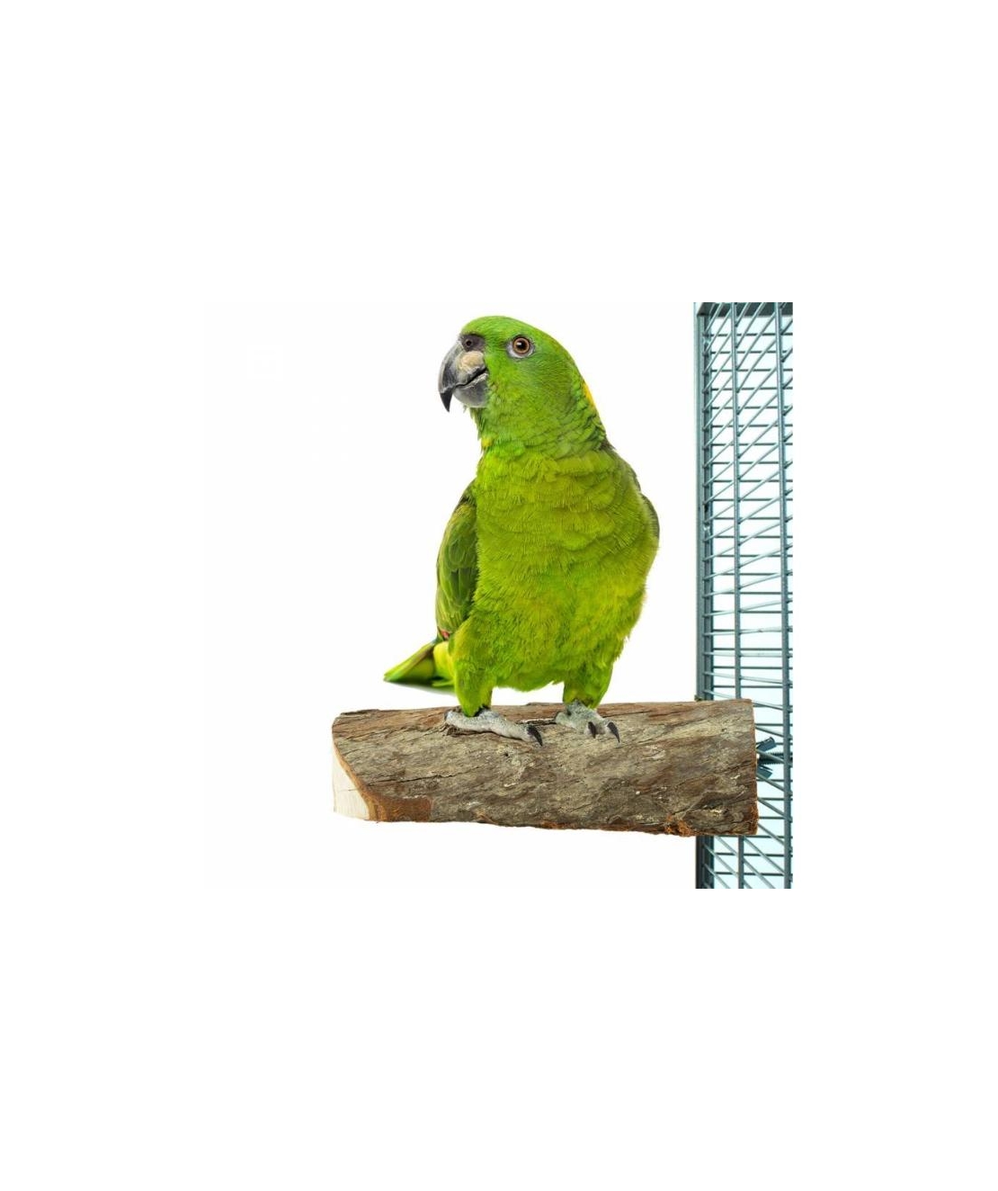 Дървена Кацалка Back Zoo Nature за Папагали – Натурална