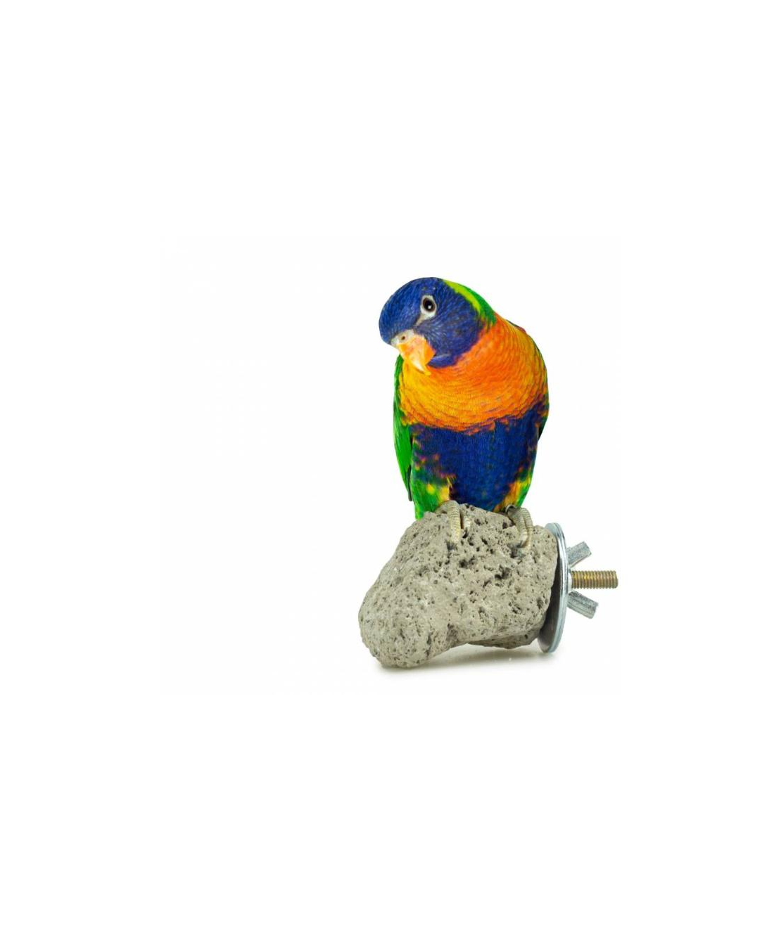Кацалка за Малки Папагали Back Zoo Nature – Лава Камък