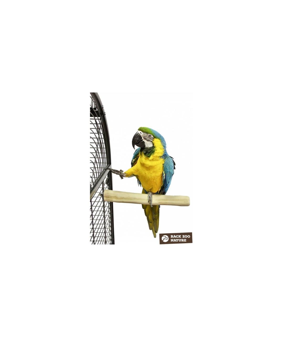 Java Back Zoo Nature – Единичен Клон – Супер Здраво Дърво – Голям