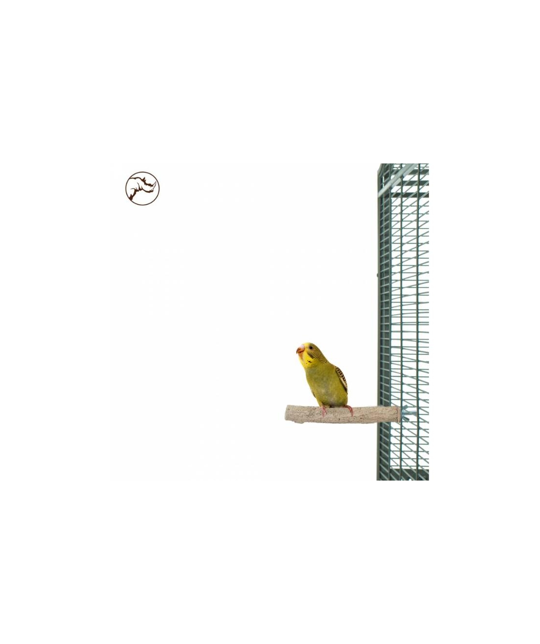 Каменна Кацалка Back Zoo Nature за Малки Папагали S – 10 см