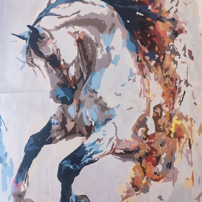 Cal în galop
