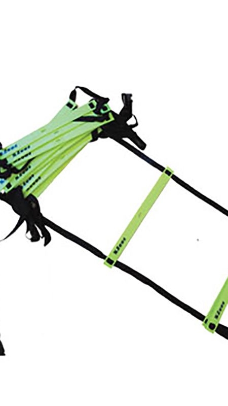  Бърза Стълба ZEUS Scala a Pioli 6x0,50 m 