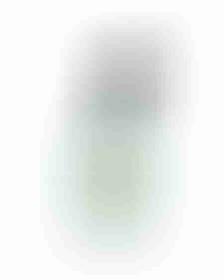 Seba _