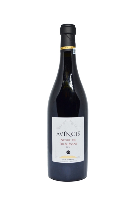 AVINCIS NEGRU DE DRĂGĂŞANI 2019