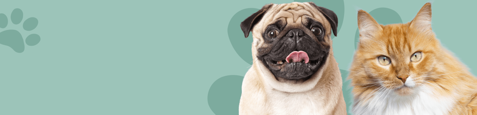 Най-ниските цени на пазара!