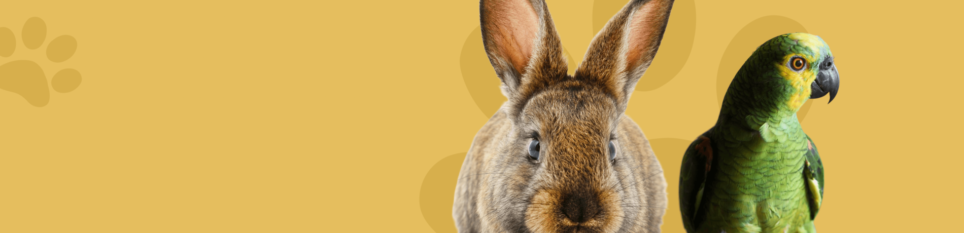 Най-ниските цени на пазара!