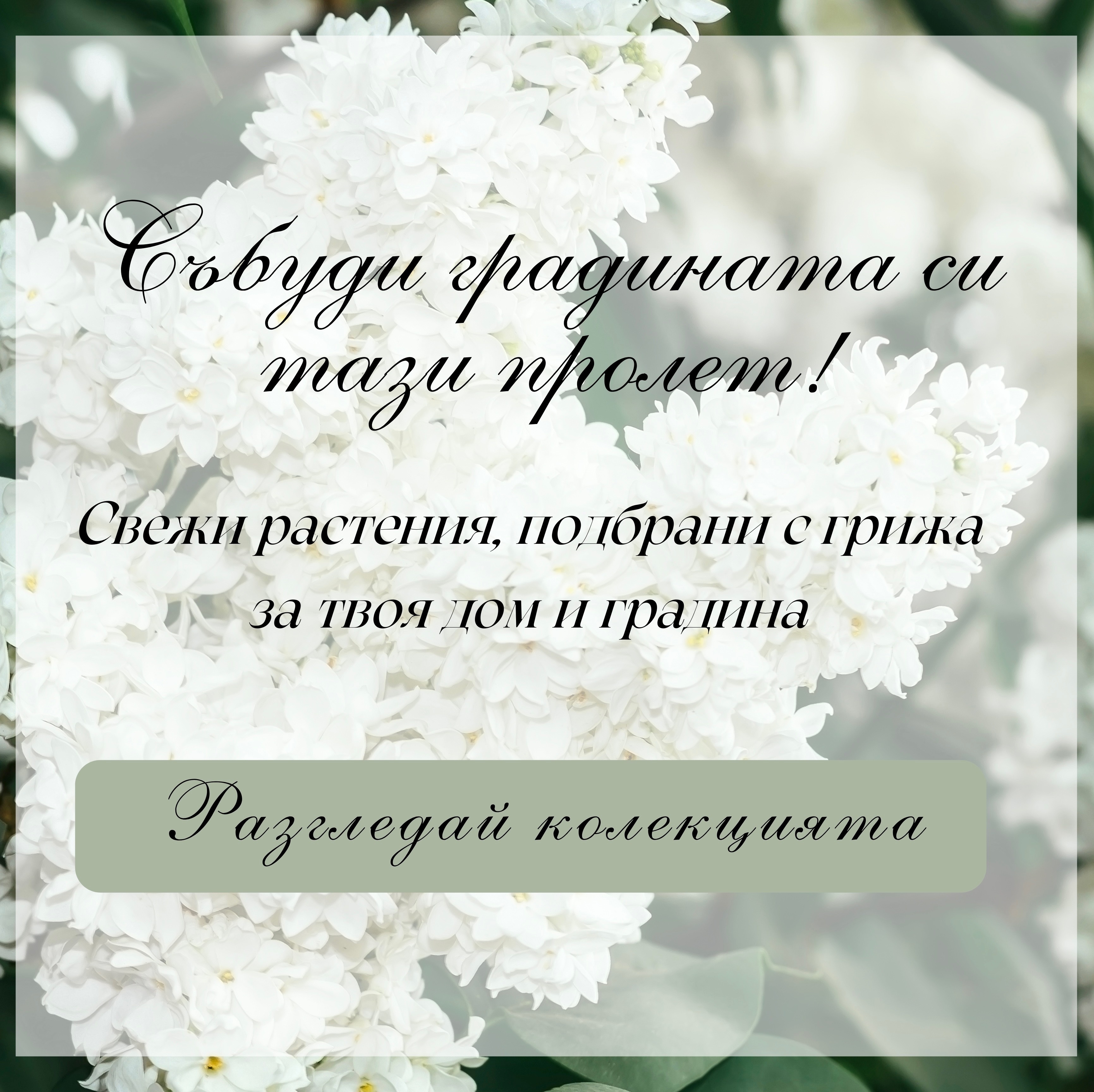 Заглавие на банер