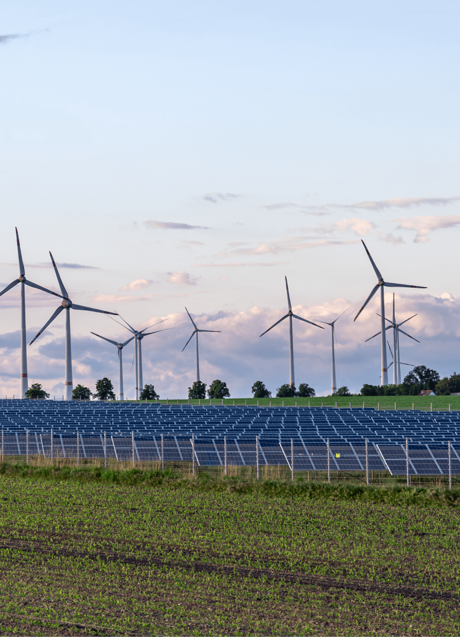 СЪЗДАВАНЕТО НА ТАЗИ ФИРМА