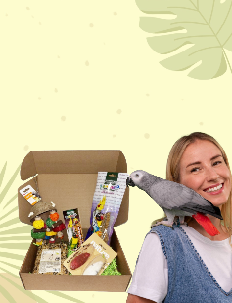 Кутия, която папагалите обичат