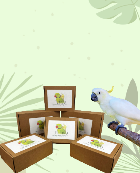 Магия в кутия за вашия пернат приятел