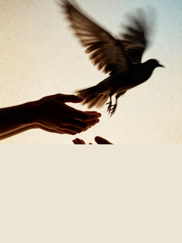 Вашият Онлайн Психолог - на един клик разстояние!