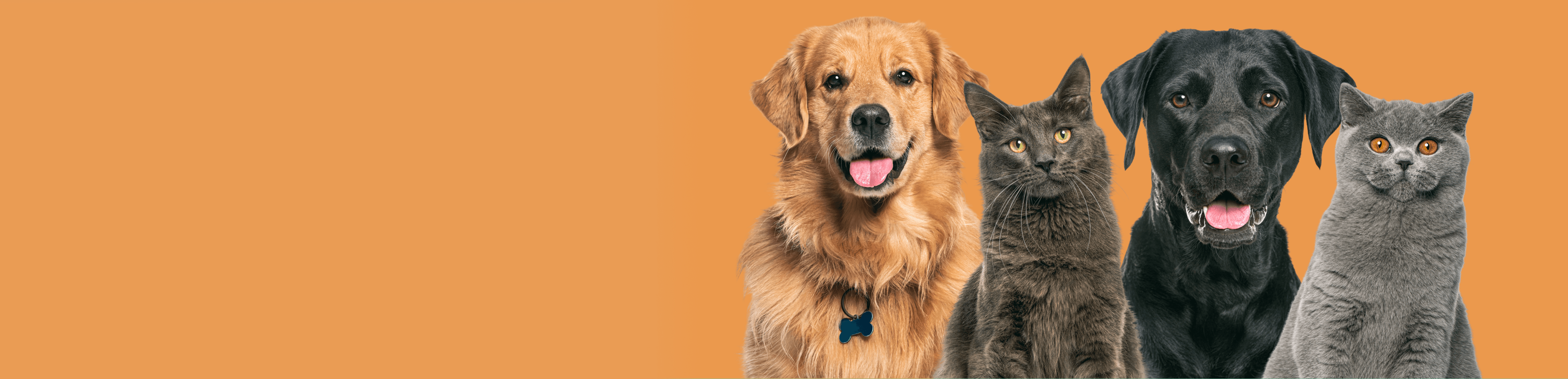 Вашият любимец заслужава най-доброто