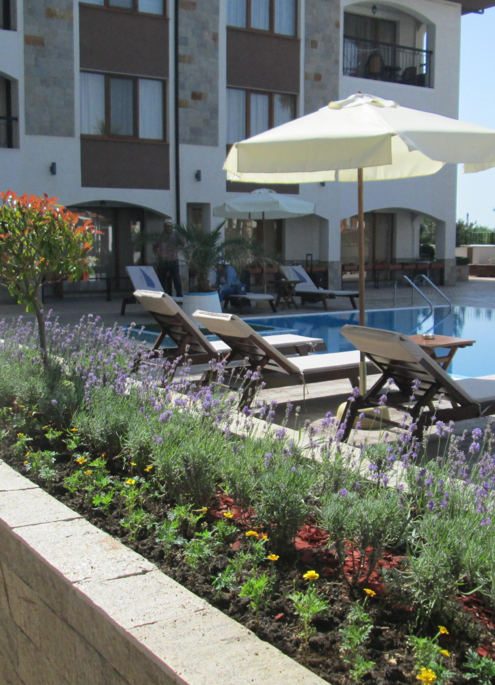 Създаваме зелени пространства с класа и харморния