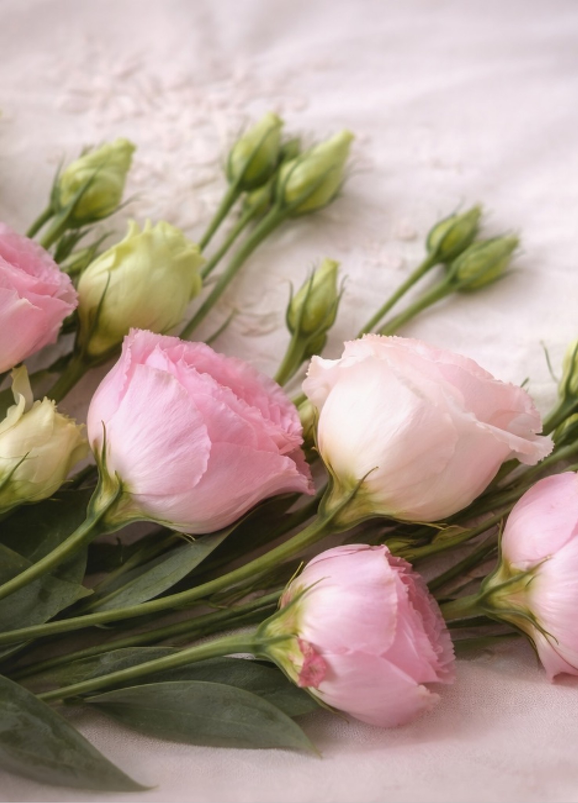 Little Baby Boutique