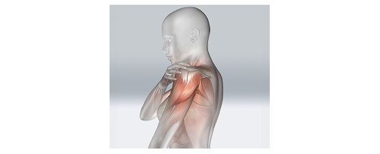 Recuperare și Repararea Țesuturilor