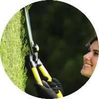 Японски ножици