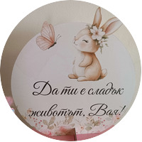 Тема '' Зайче с цвете''