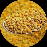 Пчелен прашец