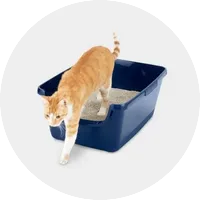 Съдове за тоалетна