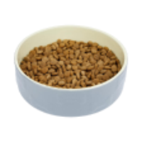 Храни за котки