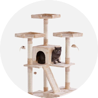 Драскалки и катерушки