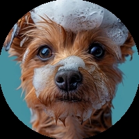 Шампоани и балсами