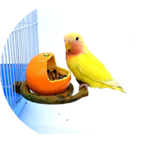 Хранилки и поилка